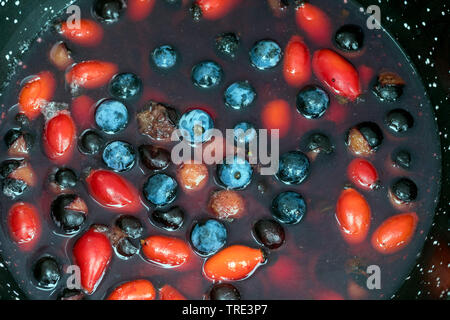 Prunellier, prunelle (Prunus spinosa), recueilli les fruits de prunellier et rose-hanches dans un poinçon, Allemagne Banque D'Images