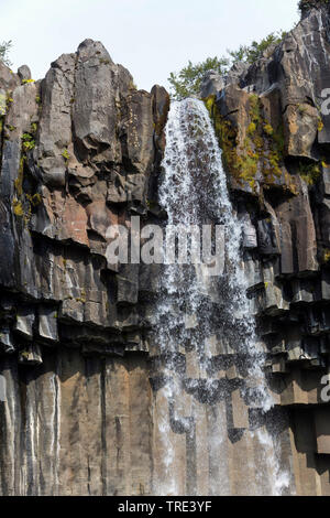 Cascade Svartifoss, Islande, le parc national de Skaftafell Banque D'Images