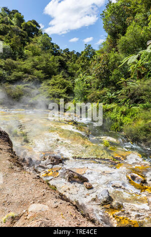 Vue d'un paysage volcanique à Waimangu Vallée du Rift volcanique en Nouvelle-Zélande, Nouvelle-Zélande, île du Nord, Waimangu Banque D'Images