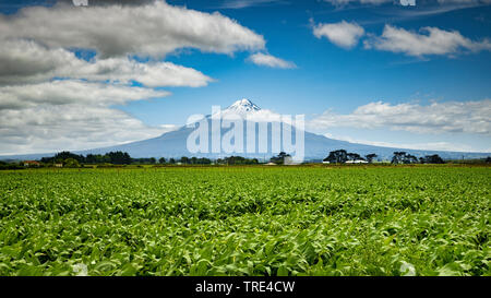 Le Mont Taranaki en Nouvelle-Zélande, Nouvelle-Zélande, île du Nord, Taranaki Banque D'Images