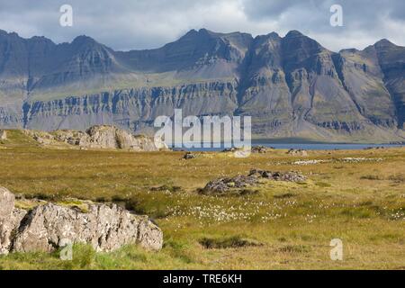 Vue sur les étangs de toundra et avec du coton d'herbes près Breidalsvik, dans l'arrière-plan des montagnes de la péninsule de Kambanes, Islande Banque D'Images