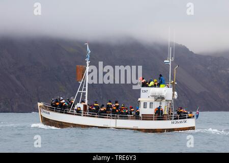 L'observation des baleines, l'Islande, Husavik Banque D'Images