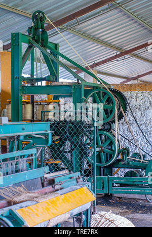 Machines de filature des fibres d'agave, prises à l'usine de Tecoh, Yucatan Banque D'Images