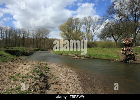 Rivière Gueule au printemps, Pays-Bas, Linburg, Epen Banque D'Images