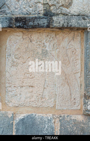 Panther gravure sur pierre d'un temple maya, dans la zone archéologique de Chichen Itza, sur la péninsule du Yucatan Banque D'Images