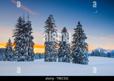 Coucher du soleil Alp Sellamatt, Suisse Banque D'Images