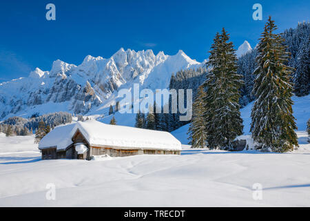 Avec Alpsteinmassif , Suisse, Appenzell Banque D'Images