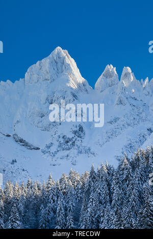 Alpsteinmassif, Zürich, Suisse, Appenzell Banque D'Images