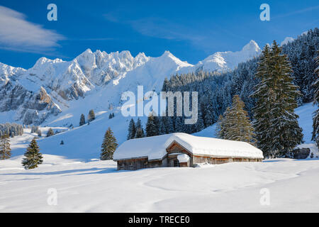 Alpsteinmassif avec mountain cabin et Saentis, Suisse, Appenzell Banque D'Images