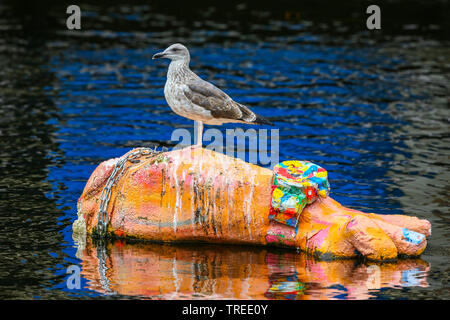 Moindre Goéland marin (Larus fuscus), sur une sculpture, Pays-Bas, Rotterdam, Hollande du Sud Banque D'Images