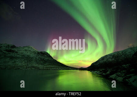 Northern Lights sur les montagnes norvégiennes, Norvège Banque D'Images