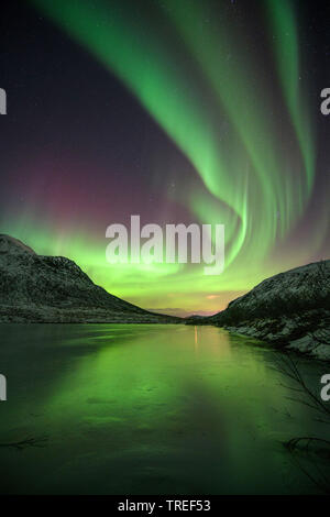 Northern Lights sur les montagnes norvégiennes, Norvège Banque D'Images