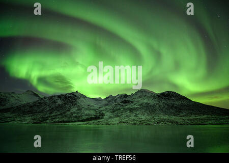 Northern Lights sur les montagnes norvégiennes, Norvège Banque D'Images