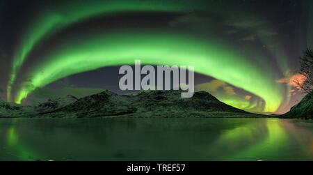 Northern Lights sur les montagnes norvégiennes, Norvège Banque D'Images