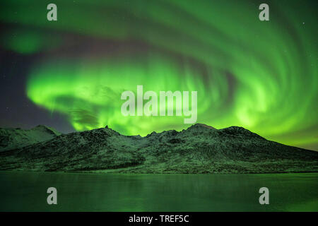 Northern Lights sur les montagnes norvégiennes, Norvège Banque D'Images