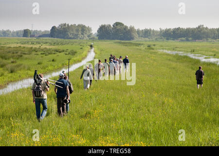 Les ornithologues en excursion, Pays-Bas, le parc national De Biesbosch Banque D'Images