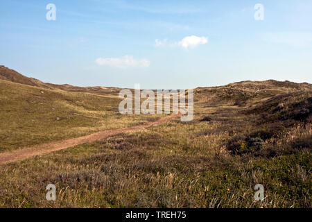 Chemin à travers la vallée des dunes de Texel, Pays-Bas, Banque D'Images