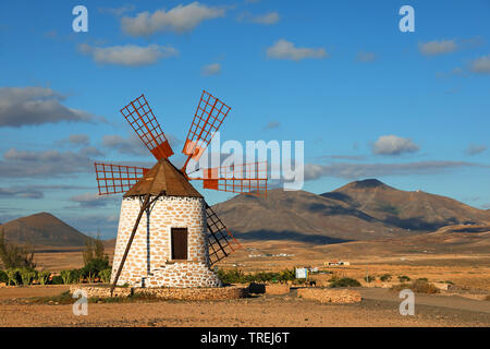 Moulin près de Tefia, Canaries, Fuerteventura Banque D'Images