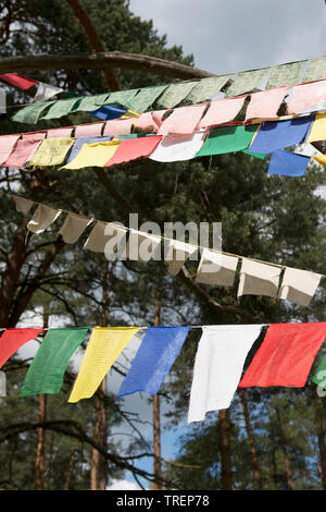 Les drapeaux de prières colorés (lungta/darcho) de la philosophie bouddhiste dans le vent. Format vertical Banque D'Images