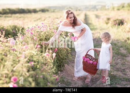 Smiling mother ramasser des fleurs rose avec son enfant fille dans domaine similaire portant des robes blanches. La maternité. Le temps passé en famille. La saison d'été. Banque D'Images