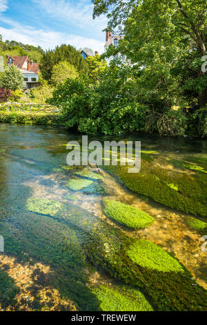 Itchen River qui coule à travers la ville de Winchester, dans le Hampshire, England, UK. Banque D'Images