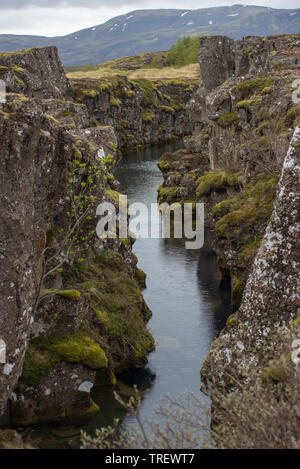 Une fissure est Silfra s.p.a. entre le nord-américaines et eurasiennes plaques tectoniques dans le Parc National de Thingvellir, Islande Banque D'Images