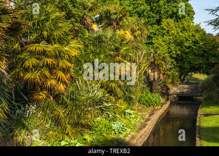 Les jardins bas menant à la plage de Bournemouth, dans le Dorset, Angleterre, Royaume-Uni. Banque D'Images