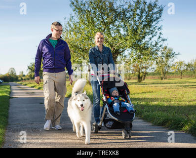 Husky de Sibérie. Chien adulte sur une marche avec sa famille humaine Allemagne Banque D'Images