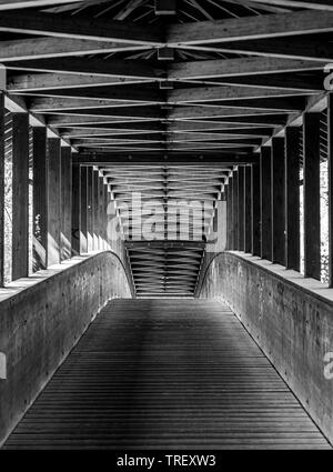 Vue sur un pont de bois dans la forêt au sud de Francfort, Hesse, Allemagne Banque D'Images