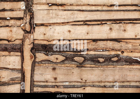 Mur en bois rugueux texture d'arrière-plan, la photo en gros plan. Pine Tree incolores bandes avec écorce Banque D'Images