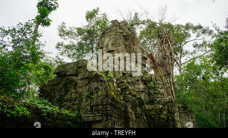 Le Bouddha historique la tête et le visage tourné de l'angle faible sur avec la jungle autour de la statue antique à l'une des ruines de temples à Angkor Thom. (Cambodge) Banque D'Images