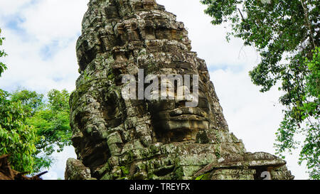 Le Bouddha historique la tête et le visage tourné de l'angle faible sur avec la jungle autour de la statue antique à l'une des ruines de temples à Angkor Thom. (Cambodge) Banque D'Images