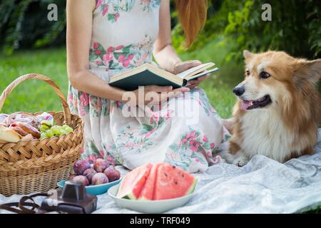 Été - pique-nique dans la prairie avec chien. fille en train de lire un livre et près d'un panier de pique-nique et baguette, vin, verres, raisins et rouleaux. Banque D'Images