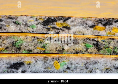 Revêtement de sol location de voiture étanche (isolation acoustique) Banque D'Images