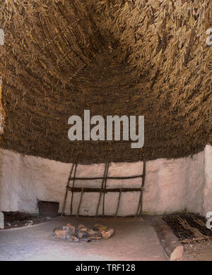 Intérieur avec toit de chaume, à l'intérieur d'un plafond de l'âge de pierre néolithique recréé hut / stoneage huttes. Centre d'exposition ; Stonehenge / Stone Henge. Royaume-uni (109) Banque D'Images