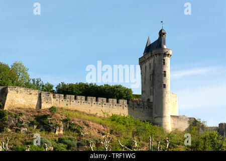 La forteresse royale de Chinon, Indre et Loire, Centre Val de Loire, France, Europe Banque D'Images