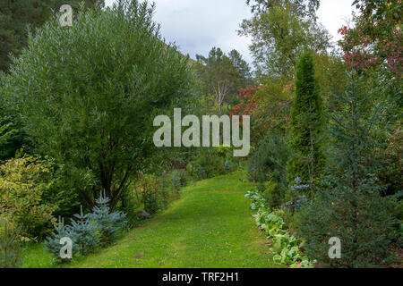 Chemin de décoration dans un jardin magnifique au début de l'automne Banque D'Images