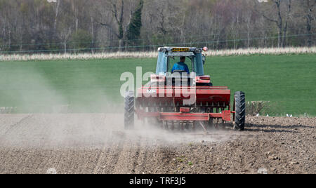 La plantation d'agriculteur l'orge de printemps avec un tracteur 4245 Massey Ferguson MF 30 vintage et d'un semoir, dans un endroit sec et poussiéreux. North Yorkshire, UK. Banque D'Images