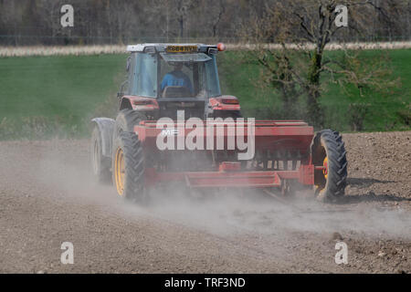 La plantation d'agriculteur l'orge de printemps avec un tracteur 4245 Massey Ferguson MF 30 vintage et d'un semoir, dans un endroit sec et poussiéreux. North Yorkshire, UK. Banque D'Images