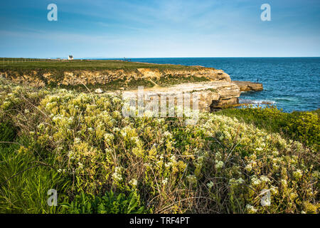 Paysage côtier spectaculaire à Portland Bill sur l'Île de Portland, Jurassic Coast, Dorset, England, UK. Banque D'Images