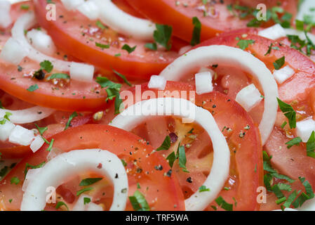 Salade avec tomates, oignons et fines herbes Banque D'Images