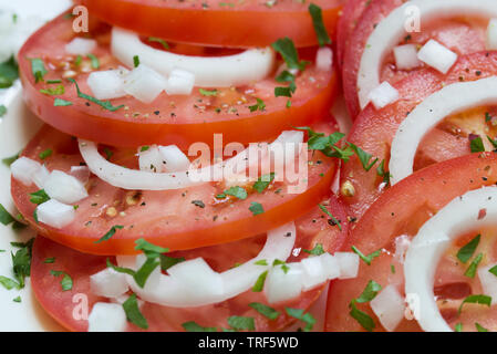 Salade avec tomates, oignons et fines herbes Banque D'Images