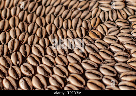 L'océan de l'Afrique groupe coquilles texture, décoration traditionnelle africaine Banque D'Images
