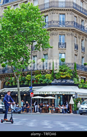 Café de Flore, un des plus vieux cafés de Paris, célèbre pour son célèbre clientèle, Saint-Germain des Prés, quartier Latin, Paris, France Banque D'Images