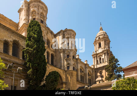 La cathédrale de Malaga, side view, Málaga, Andalousie, espagne. Banque D'Images