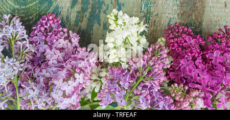 Des bouquets de fleurs lilas multicolore sur un vieux fond de bois Banque D'Images