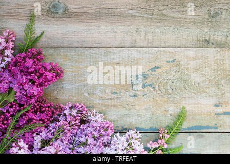 Des bouquets de fleurs multicolores lilas comme frontière sur un vieux fond de bois avec copy-space Banque D'Images