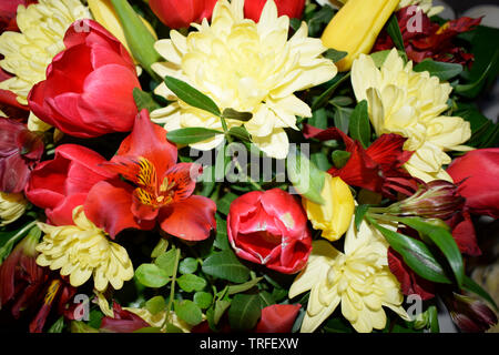 Superbe bouquet de fleurs différentes. Mélange de différentes couleurs d'œillets artificiel, pour la décoration Banque D'Images
