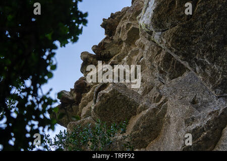 Falaise dans la réserve naturelle du lac Eland dans la gorge Oribi à Durban Afrique du Sud. Banque D'Images