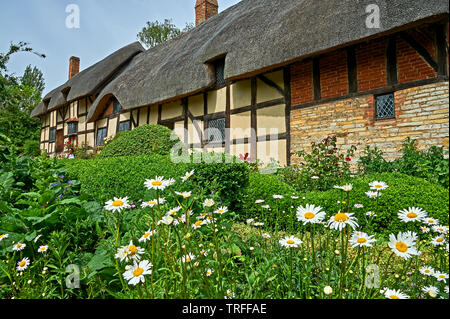 Anne Hathaway's Cottage à Shottery, Stratford upon Avon, est une cité médiévale à colombages de construction et de l'épouse de William Shakespeare. Banque D'Images